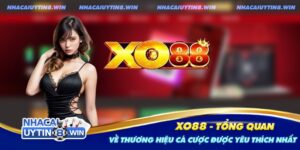 Nhà cái Xo88 - Thương hiệu cá cược uy tín