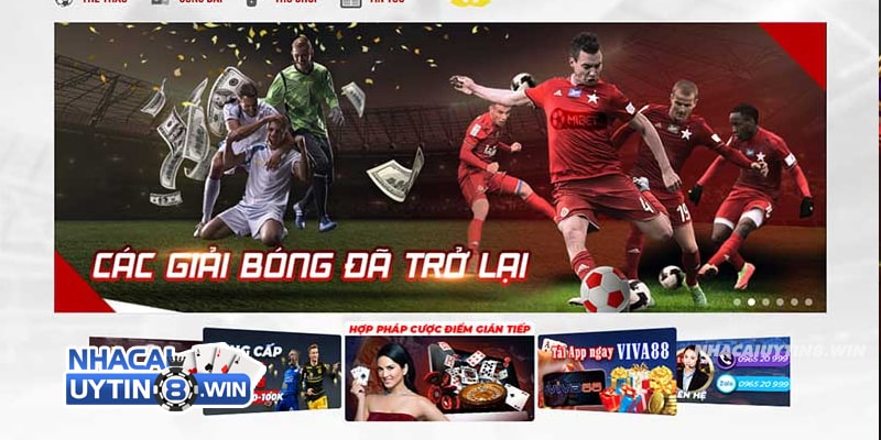 Vì sao nhiều bet thủ lựa chọn cá cược tại Mibet