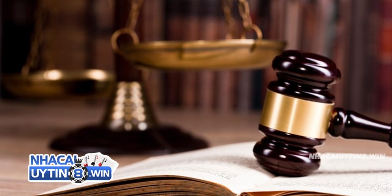 Điều khoản miễn trừ trách nhiệm dành cho Nhacaiuytin